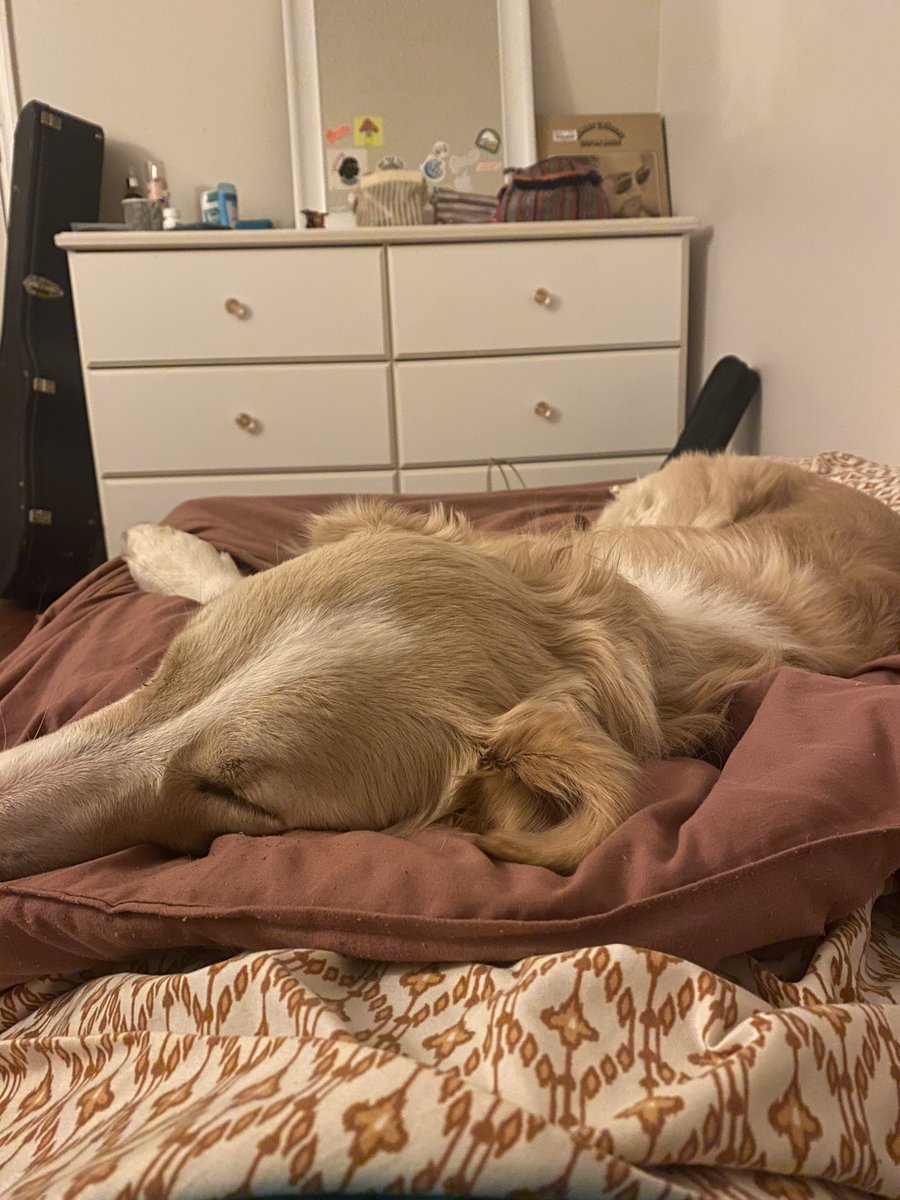 emmasummerford's tweet photo. getting her last few moments of beauty rest before we stay up all night listening to MIDNIGHTS #TSmidnightTS #MidnightsTaylorSwift https://t.co/IucnVgGvCO
