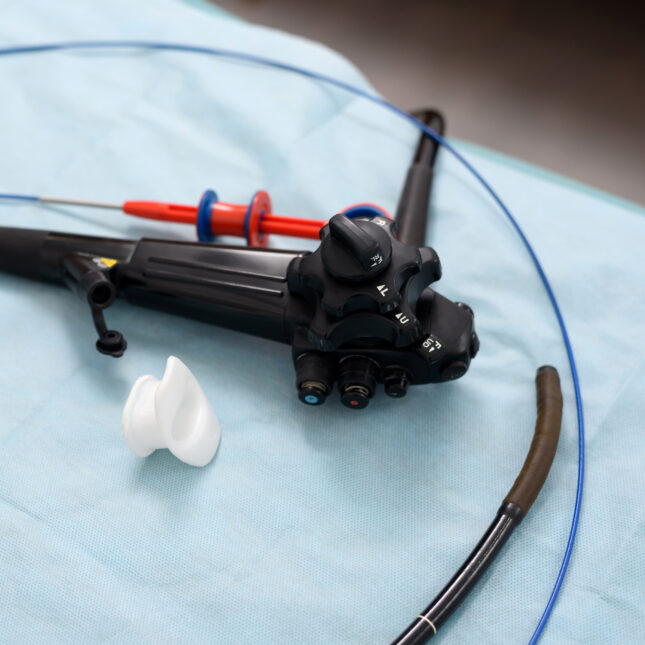 Katie Ames tweet media