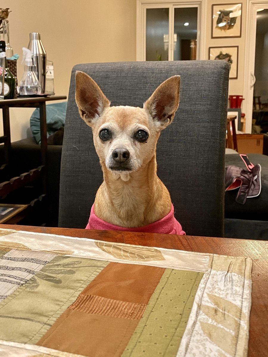 Philippe Hausler tweet media