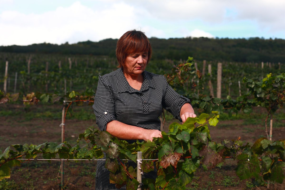 🌳 “These lands are my children”, says Ecaterina from #Moldova. Ecaterina has been running her own agricultural enterprise for 20 years. See how she’s working to fight the stereotype that farming is a job for men: unf.pa/hfl #GenderEquality