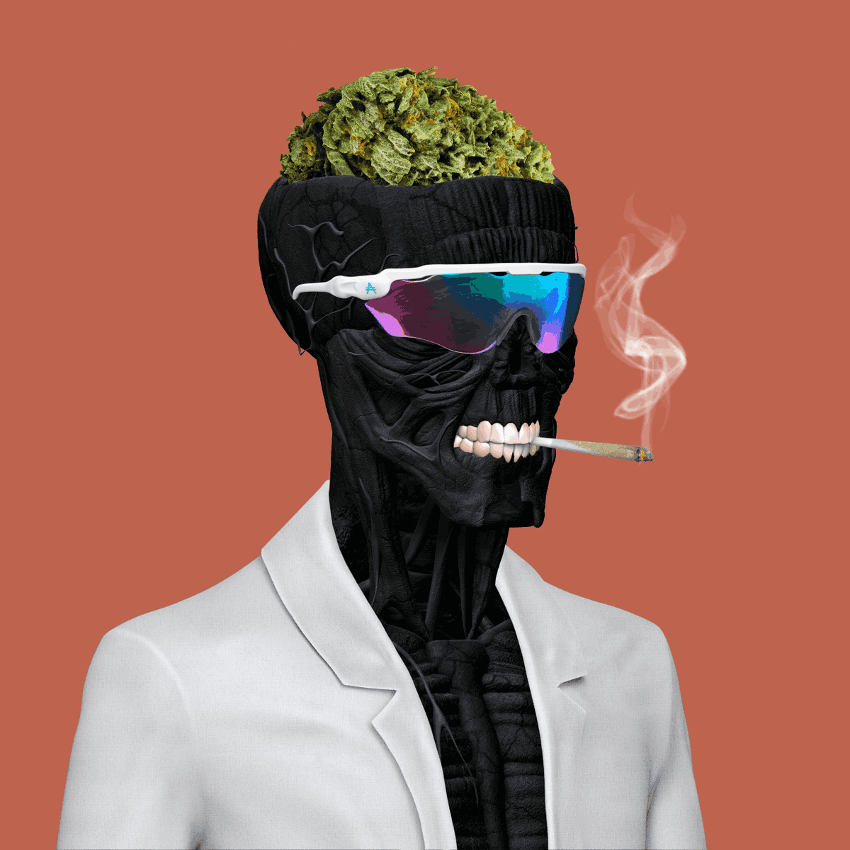 $LAB powered by Anatomy tweet media