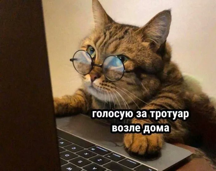 __mudakoff's tweet photo. Я в 18 лет: Да кому нужны все эти городские сайты?
Я сейчас: https://t.co/qRvwRg2nbd