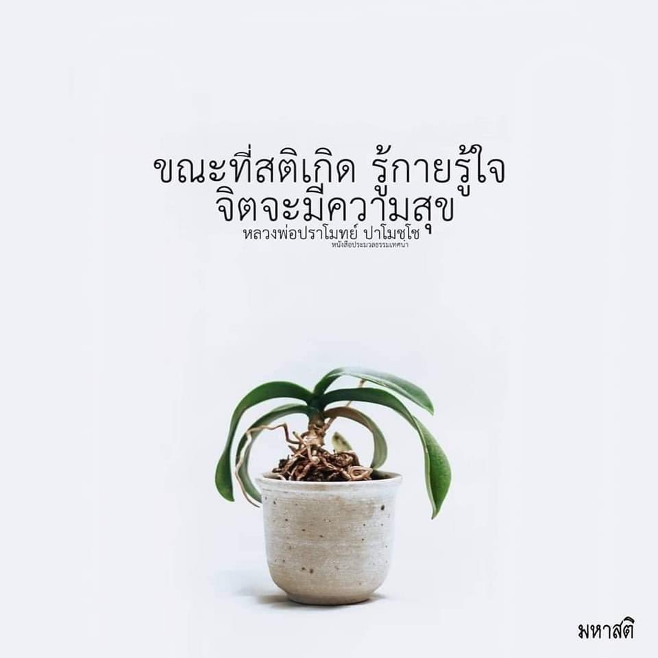 Baibua2711's tweet photo. 🙏🏻🙏🏻🙏🏻 https://t.co/hP1ReykpvA