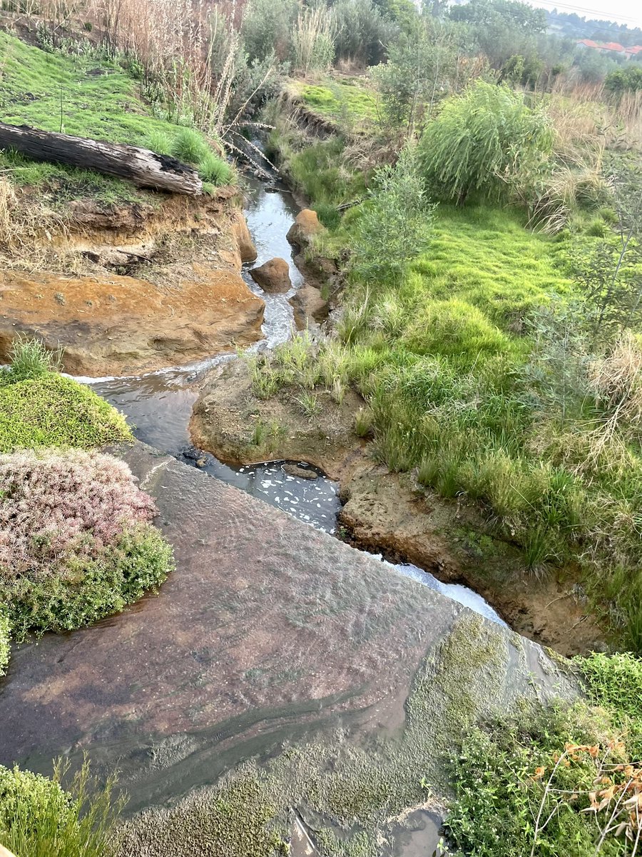 Grippa77's tweet image. easy 9k recovery #run with #MapMyRun #Earthathon #RunFree