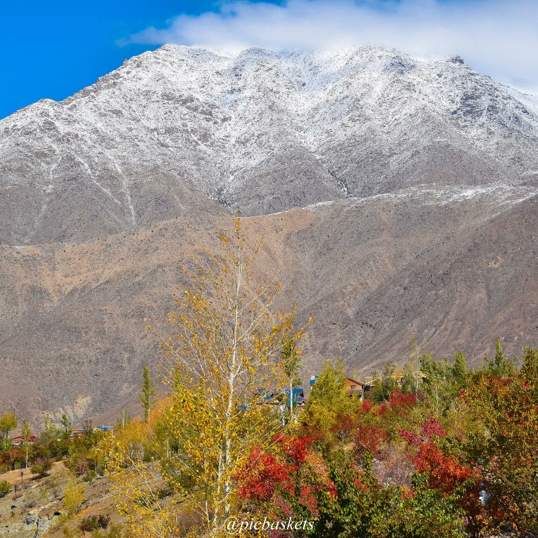picbaskets's tweet photo. 🍁🍂Dilkash Mosam Khazaan🍂🍁
#indiatravelgram #incredibleindia #instagram #india #ladakhtourism #ladakh #ladakhdiaries #mountains #nature #naturephotography #autumn #autumnvibes #autumncolors #autumnmood #autumnleaves #explorepage #earth #kargil #valley #travelphotography https://t.co/fNWly2BlKf