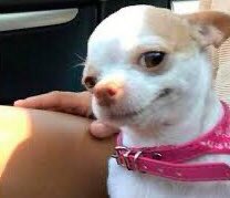 Lana haciendo coros pero dejando claro q ha puesto su estilo en la canción.