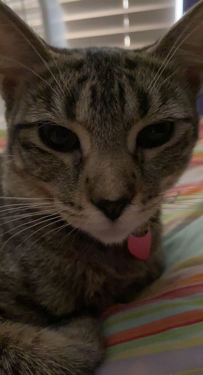 karma spoiler with no context