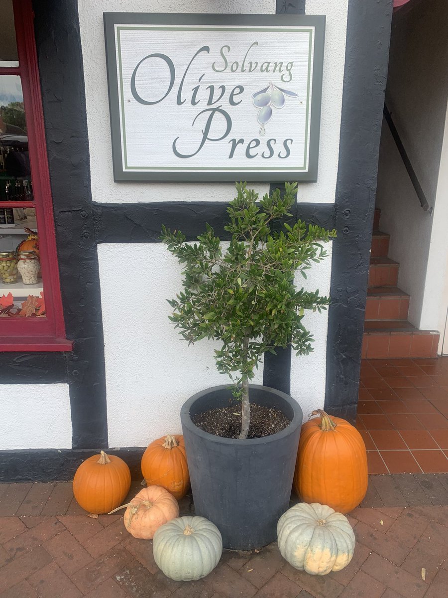 teatraceaolcom's tweet photo. Scarecrows in Solvang  #scarecrow  #syvscarecrow  #solvang #solvangchamber  #visitsyv https://t.co/HCgqKMCYxz