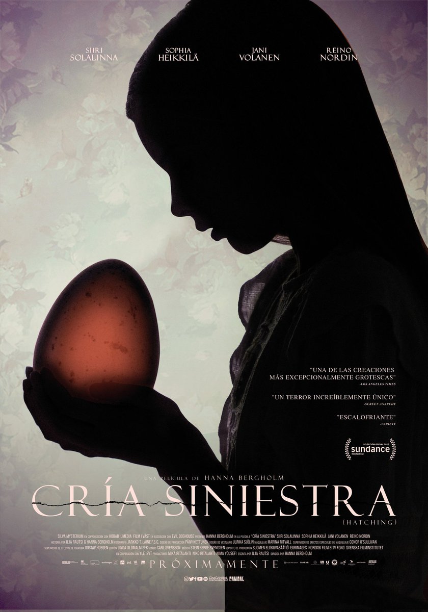 @cineCANIBAL presenta CRÍA SINIESTRA, la nueva película de Hanna Berghlom, presentada en el Festival de Sundance y considerada por los críticos como 'una de las creaciones más excepcional mente grotescas'. Estreno 24 no en cines #cdmx #pelicula #sandymoon #rt