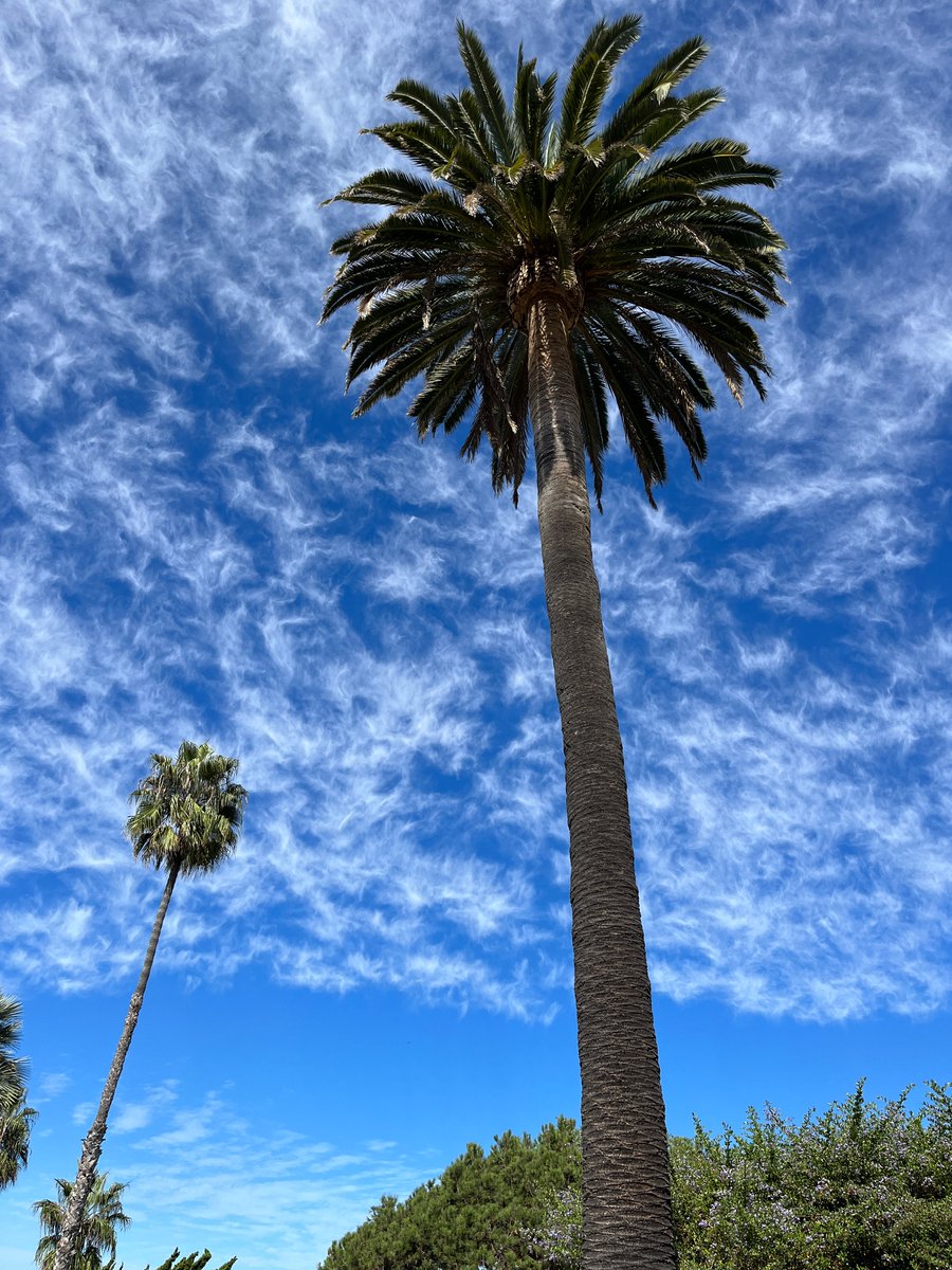 daveabrock's tweet photo. California is cool. https://t.co/Cx1XfFsTlW