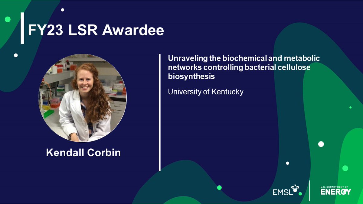 EMSLscience's tweet photo. DYK: Bacterial cellulose is a green alternative #biomaterial with #electrical, #biotechnology, #medical, and #pharmaceutical applications? Learn how 
@UKAgriculture's @kcorb4 is working to improve the performance of cellulose-producing bacteria https:/h/bit.ly/3RK5NYl https://t.co/HouDdljtfA