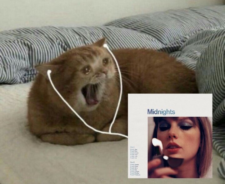 aavrrril's tweet photo. "no one wanted to play with me as a little kid, so i've been scheming like a criminal ever since, to make them love me and make it seem effortless" x100000 @taylorswift13 😭 #MidnightsTaylorSwift https://t.co/tqlEnl6Jax