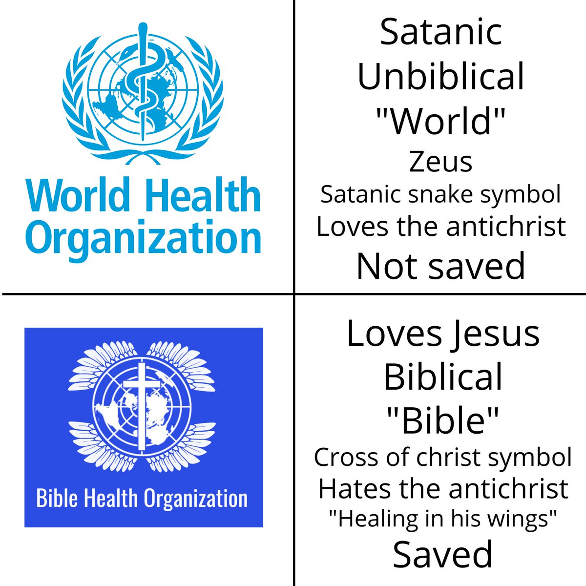 Bible Health Organization (BHO) (@biblehealthorg) on Twitter photo 