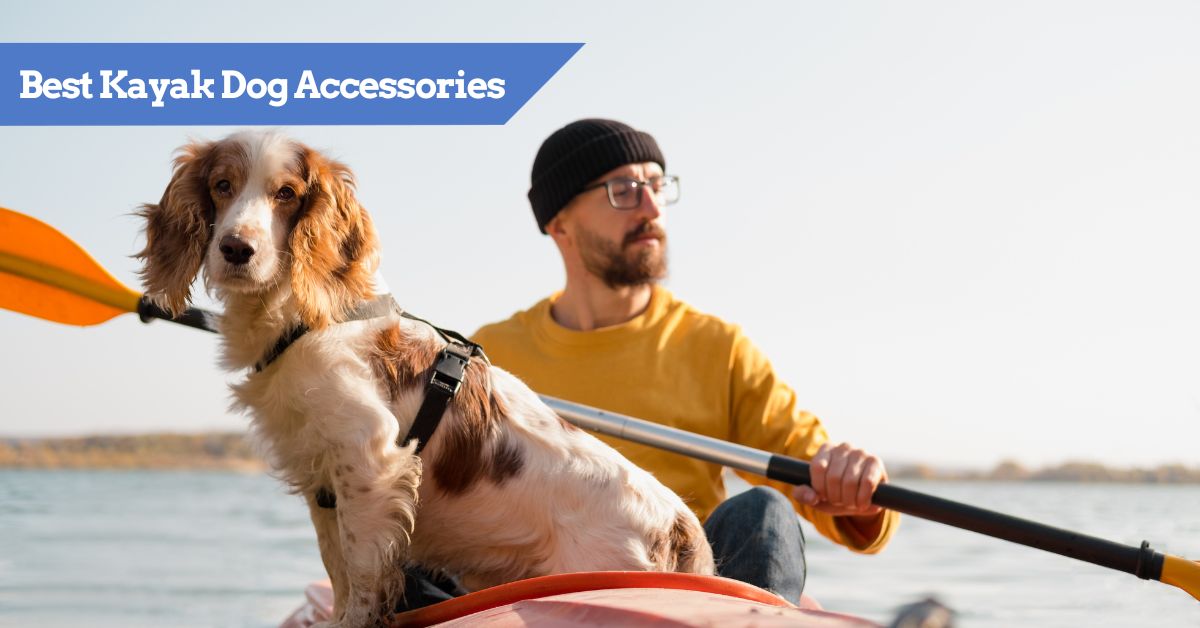 KayakGurucom's tweet photo. If your dog 🐶 enjoys the water 🌊 , kayaking might be enjoyable. The proper gear can make it much more fun. Keep reading to see the top accessories for your pup to help your kayaking 🛶 be safer &amp; more fun!  https://t.co/tfyJ4AU2sy https://t.co/EBeyPTArmj