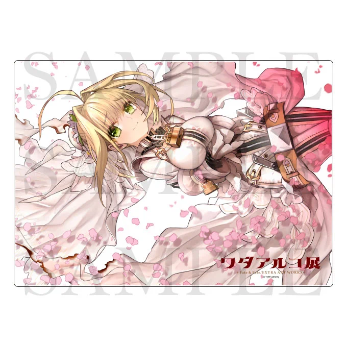 4 劇場版キャメロットの来場者特典絵奈須さんのテキストがどエモで染み染みですよ。ガレスちゃんかわいいねえ…いぬ味が最高だね…。5 シャフトさんのCCCのOPアニメ原画集Labyrinth BOX表紙エロピンクがきれいに出たのでとても気に入っています。 