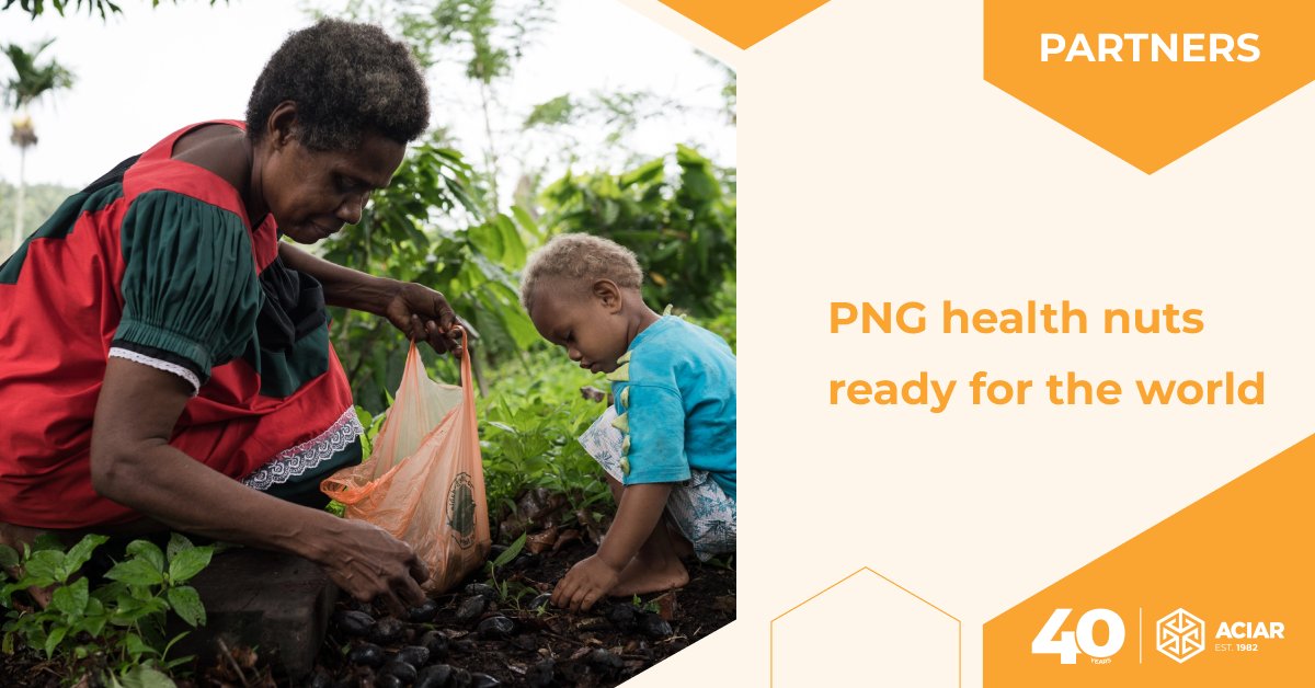 #ACIAR-funded research led by the Centre for Planetary Health and Food Security, @Griffith_Uni is helping to develop products and markets for PNG's galip nut smallholder farmers. Find out more in the latest edition of #Partners at bit.ly/3gf9MPx