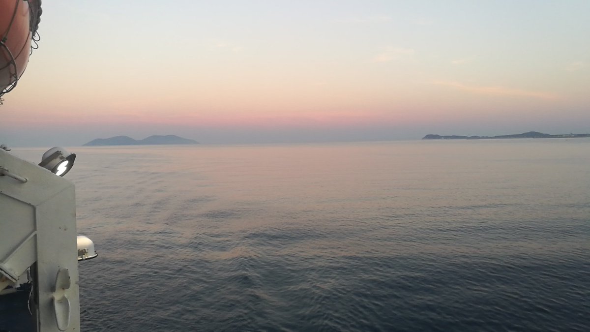 fredihoxha4's tweet photo. Sazan vlore Albania https://t.co/KdjrDnZ5Qh