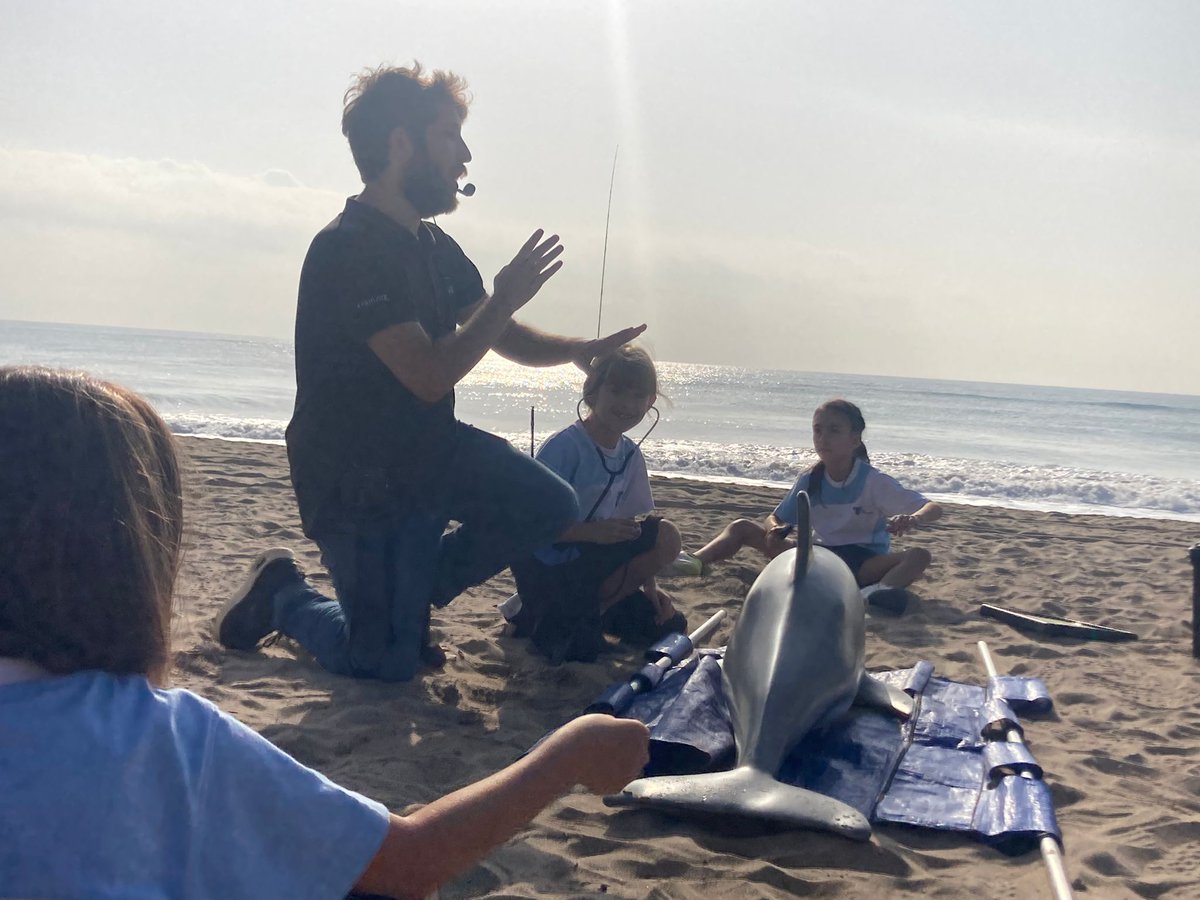 Tercer de primària hem fet una visita al Centre de recuperació d'animals marins (CRAM.. Mitjançant l'observació i la interacció, hem comprovat de primera mà la meravellosa tasca que s'hi realitza en aquestes instal·lacions de la costa catalana.