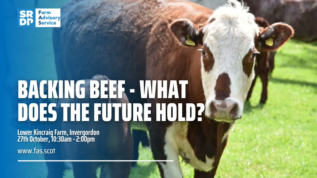 This winter is likely to be challenging for beef producers. Do you need help to overcome these challenges? Join us at Lower Kincraig farm to discuss your options. Click for more information and to make your booking: buff.ly/3SSJaSv