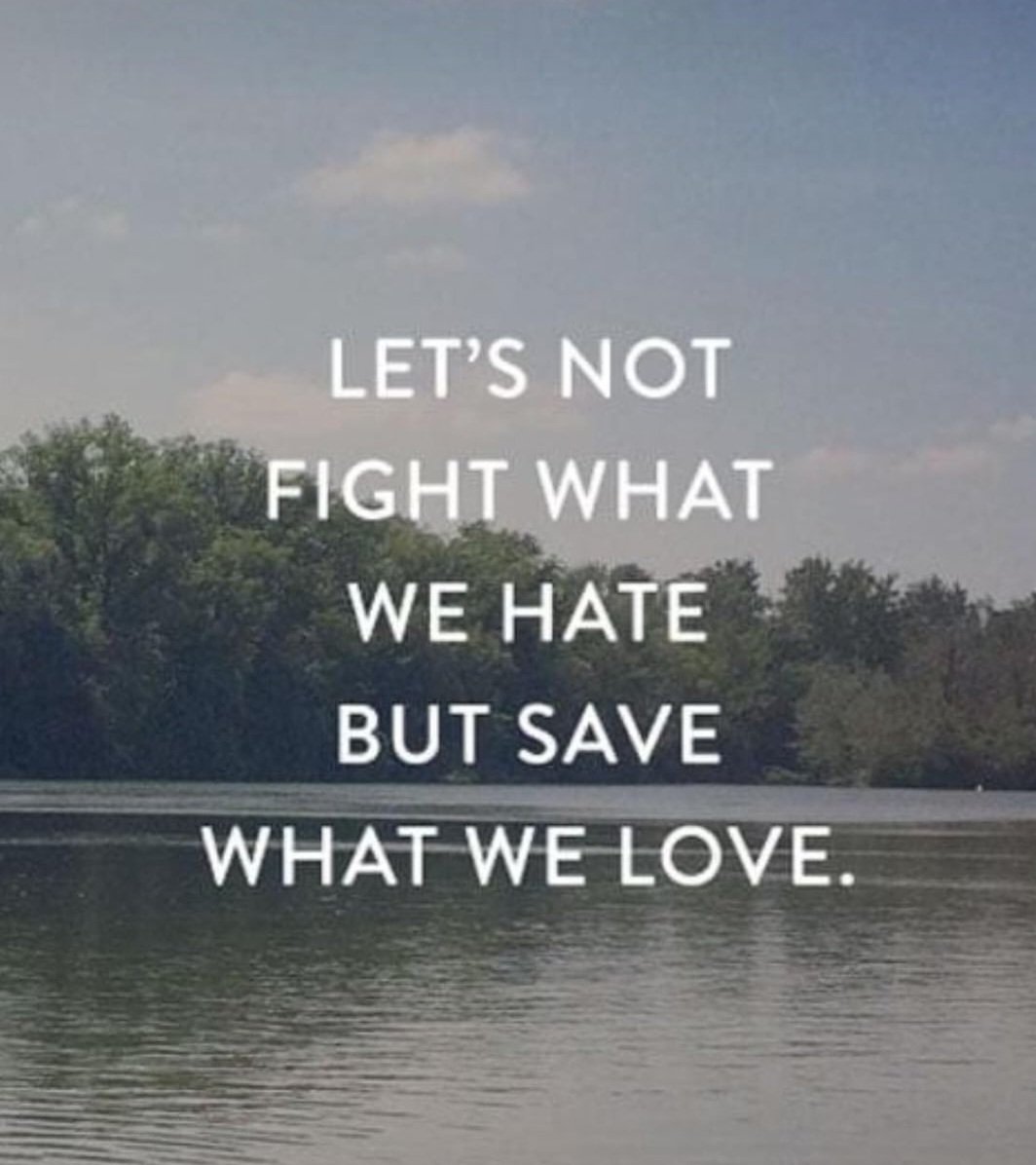 Marianne Rietveld (@dewijswijzer) on Twitter photo 