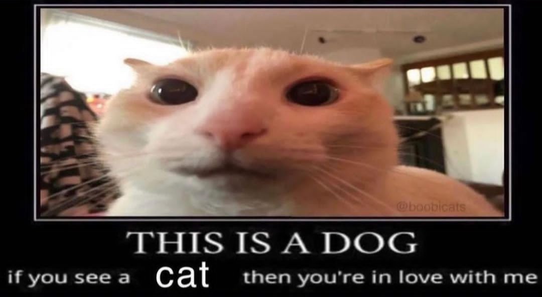 Mashu4DX's tweet photo. @RespectfulMemes https://t.co/t5K5yIp9qb