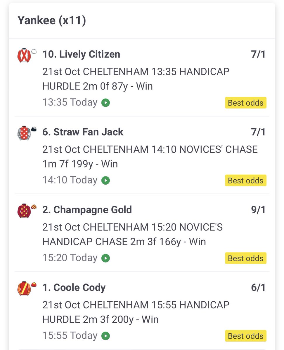 ExpressTips1's tweet image. Jumps racing is back at Cheltenham - the ground will change by the time they go to post. Here’s four ground versatile selections who will relish the slog and likely come in in price 🐴 💰 #Cheltenham #ExpressTips #HorseRacing