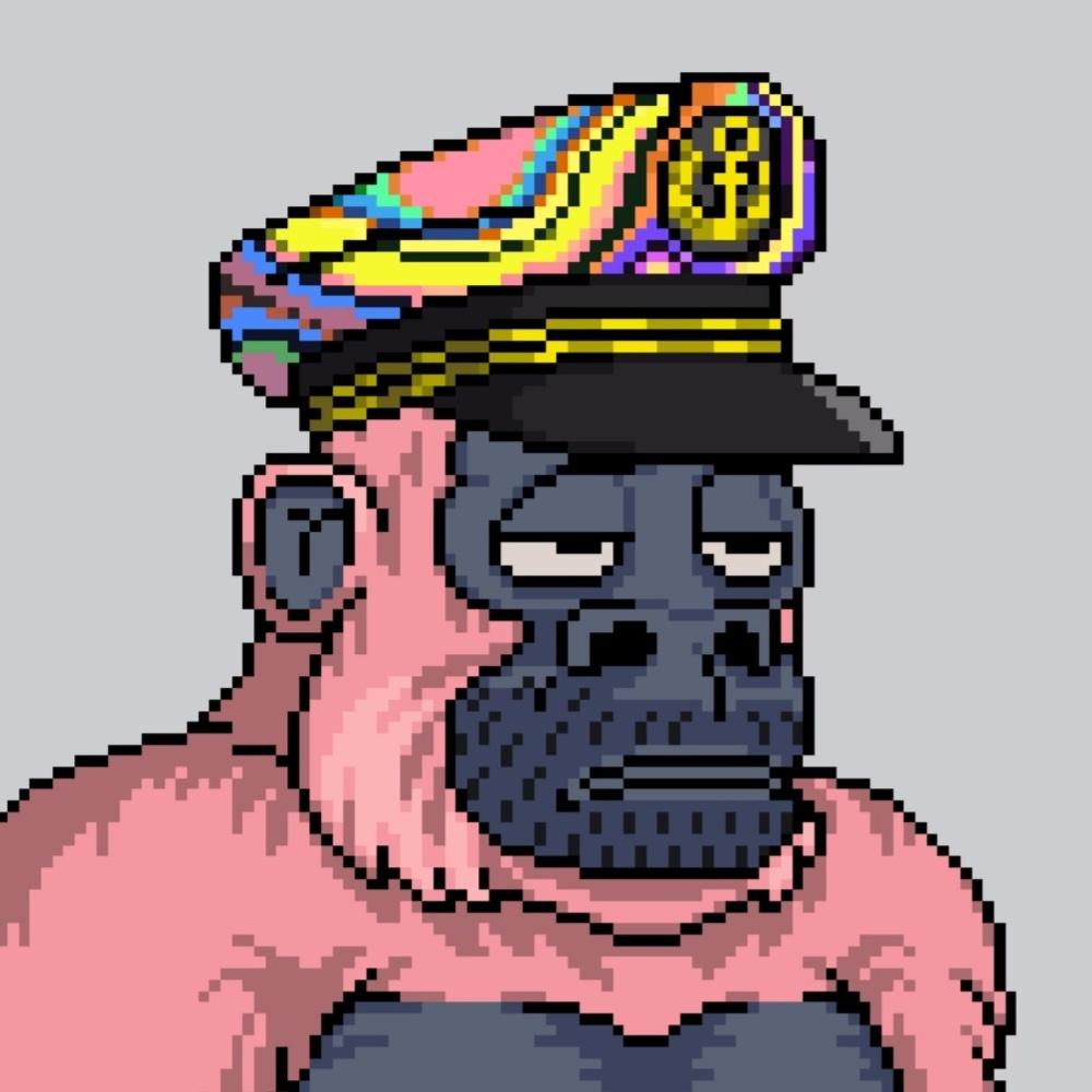 Unknown.Jpeg tweet media