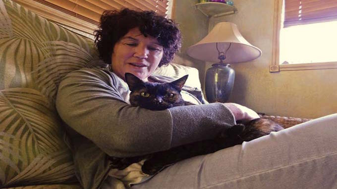 Lost Cat Returns Home After 15 Years - lifestyle-a2z.com/like_11381/ #cat #returns #home