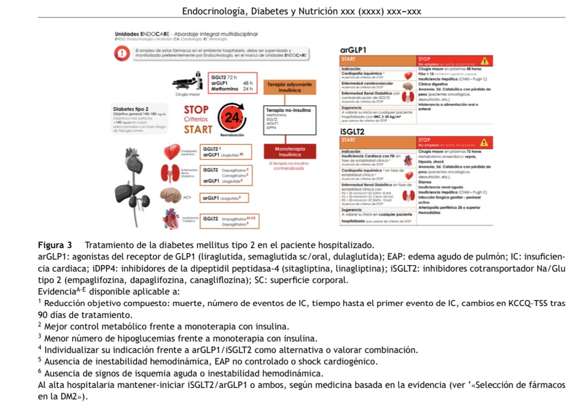 🚨🚨Just Published!! Resumen ejecutivo de Abordaje Integral de las Personas con Diabetes tipo 2 #2022 <a href="/sociedadSEEN/">Sociedad SEEN</a> <a href="/diabeteSEEN/">Área Diabetes SEEN</a> <a href="/secardiologia/">Soc Esp Cardiología</a> <a href="/SENefrologia/">S.E.N. Nefrología</a> <a href="/Sociedad_SEMI/">#46SEMI Sociedad Española de Medicina Interna</a> <a href="/SEMERGENap/">SEMERGEN | Médicos de AP #SEMERGEN25</a> <a href="/semfyc/">semFYC</a> <a href="/SEDiabetes/">SED Diabetes</a> <a href="/SociedadSeedo/">SEEDO</a> <a href="/isabial_iis/">ISABIAL</a> authors.elsevier.com/c/1fyIl8-GbQ6-…