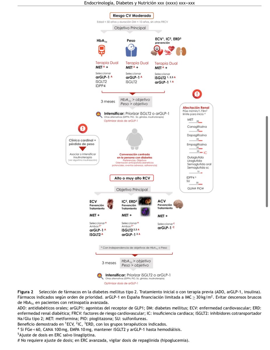 moreno_perez_o's tweet image. 🚨🚨Just Published!! Resumen ejecutivo de Abordaje Integral de las Personas con Diabetes tipo 2 #2022 @sociedadSEEN @diabeteSEEN @secardiologia @SENefrologia @Sociedad_SEMI @SEMERGENap @semfyc @SEDiabetes @SociedadSeedo @isabial_iis authors.elsevier.com/c/1fyIl8-GbQ6-…