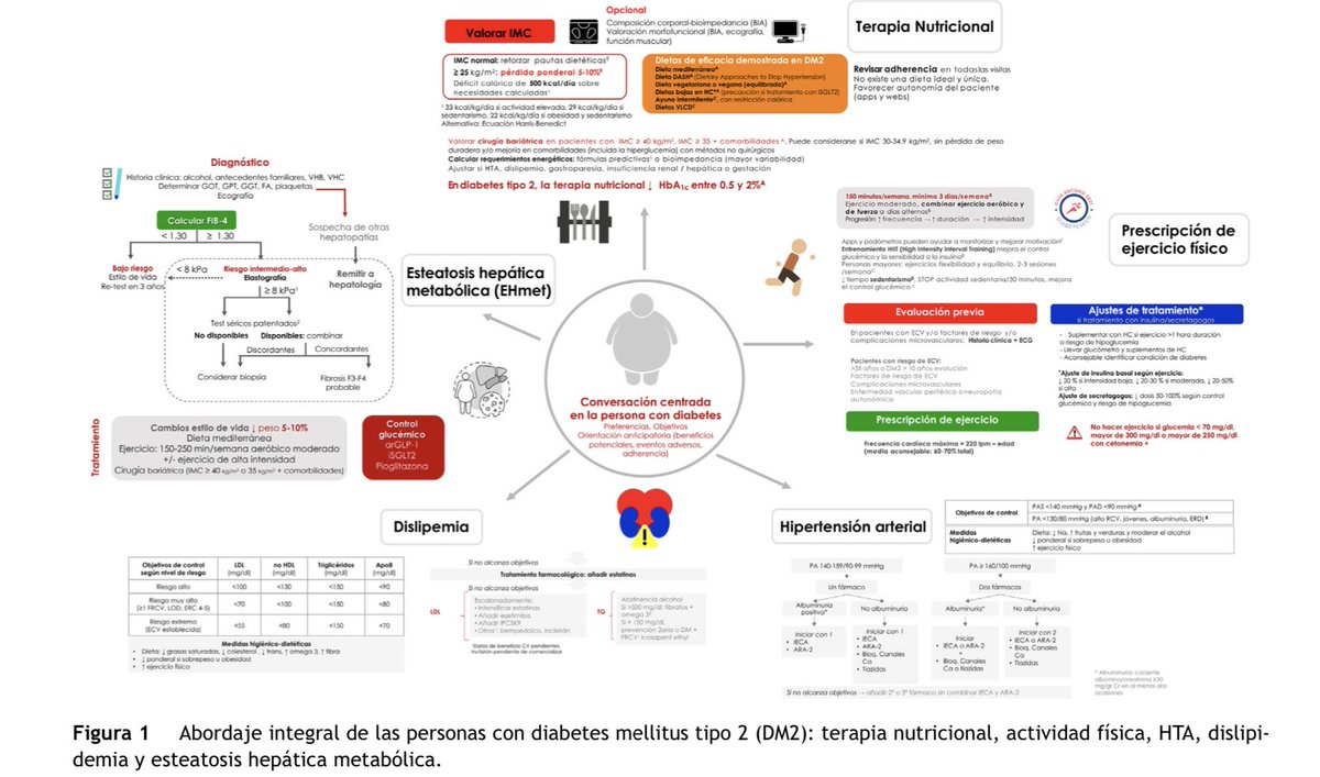 moreno_perez_o's tweet image. 🚨🚨Just Published!! Resumen ejecutivo de Abordaje Integral de las Personas con Diabetes tipo 2 #2022 @sociedadSEEN @diabeteSEEN @secardiologia @SENefrologia @Sociedad_SEMI @SEMERGENap @semfyc @SEDiabetes @SociedadSeedo @isabial_iis authors.elsevier.com/c/1fyIl8-GbQ6-…