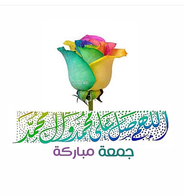 " هل تعرف ما معنى أن يأتيك صديق على مقاس قلبك تماماً ! " ..
انها النعمة التي تستحق الشُكر ...

#اصدقائي
#جمعة_مباركة
#صباح_الخير
