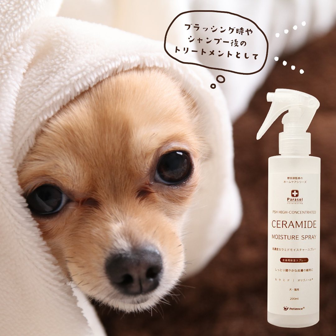 犬のスキンケア Twitter Search Twitter 犬のスキンケア Twitter Search Twitter
