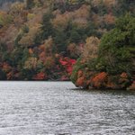 ツイートに含まれる画像