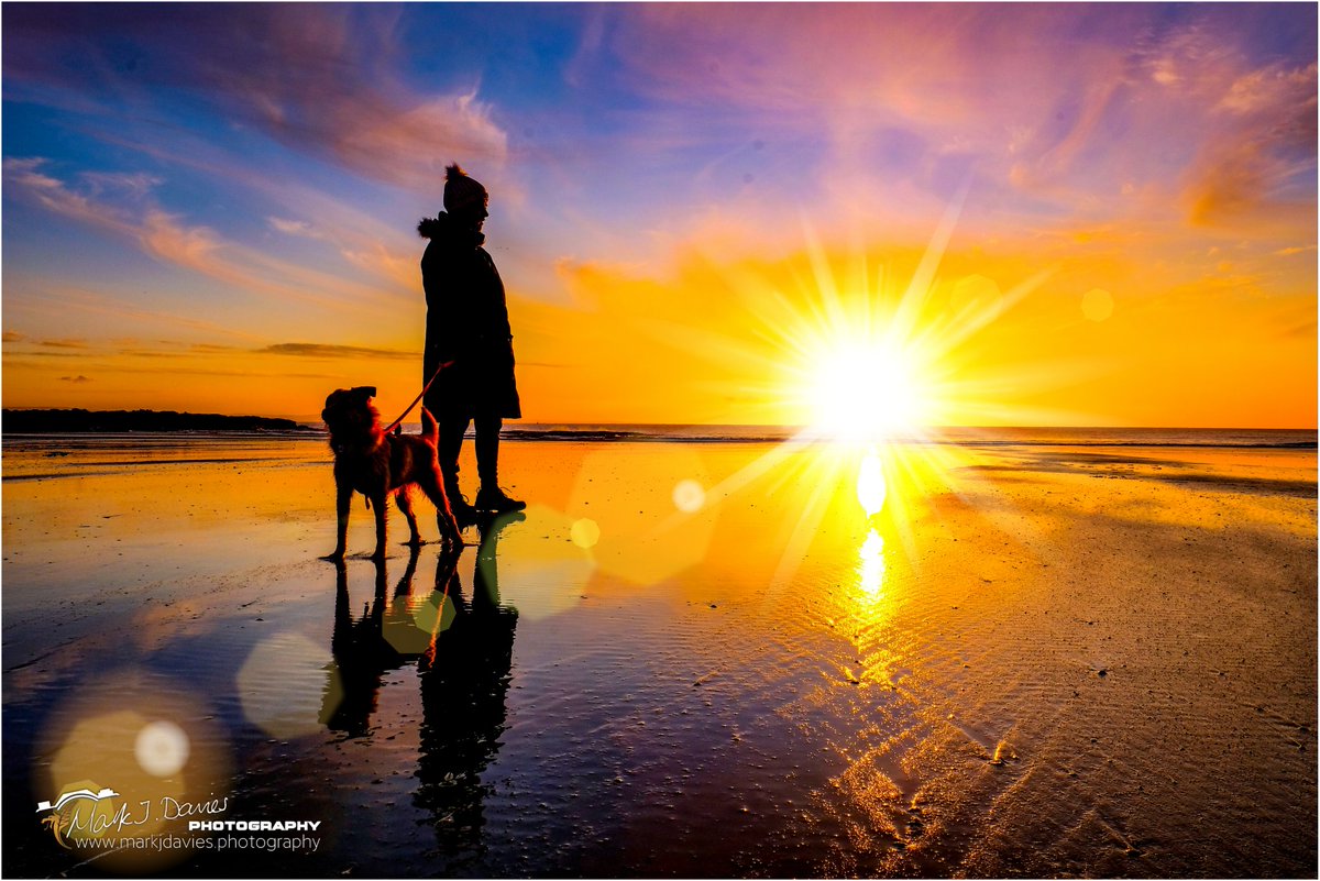 Mark J Davies Photography tweet media