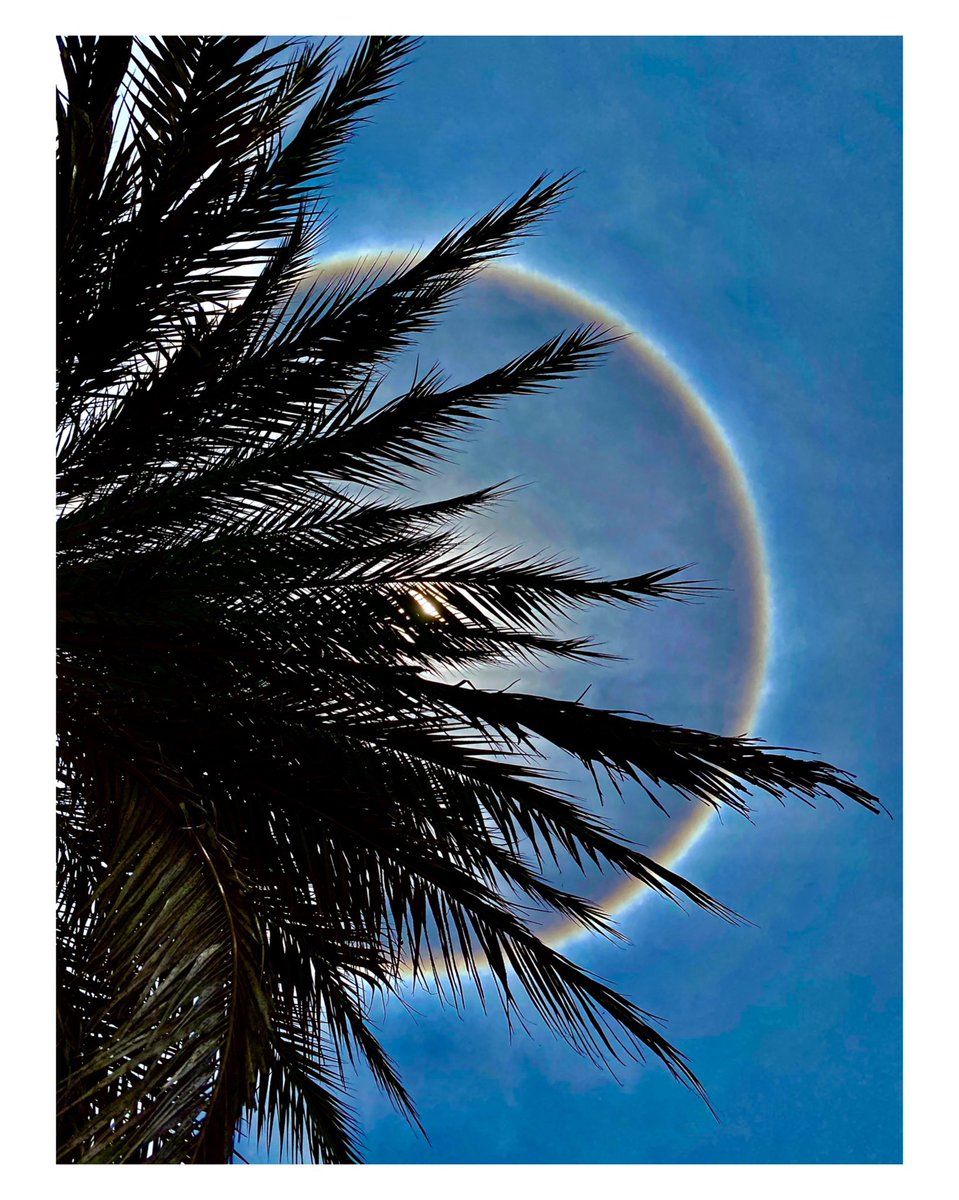 s_dimate's tweet photo. #halo #halosolar #fenomenometeorologico #sdlfoto #sdlive #islademargarita #NuevaEsparta #sdimate #Venezuela https://t.co/GOsaTuIyr1
