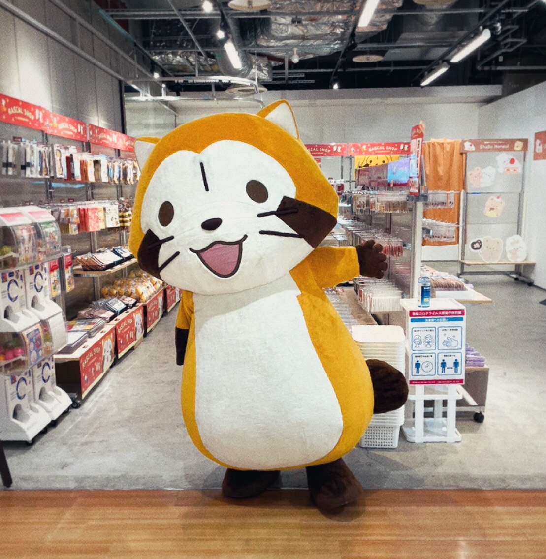 Rascal_Shippo's tweet image. ラスカルのお買い物②

広島パルコ本館３階についたら、下りエスカレーター近くのラスカルショップ in 広島へ直行💨
まずは入り口で手を合わせて消毒してね🙏
