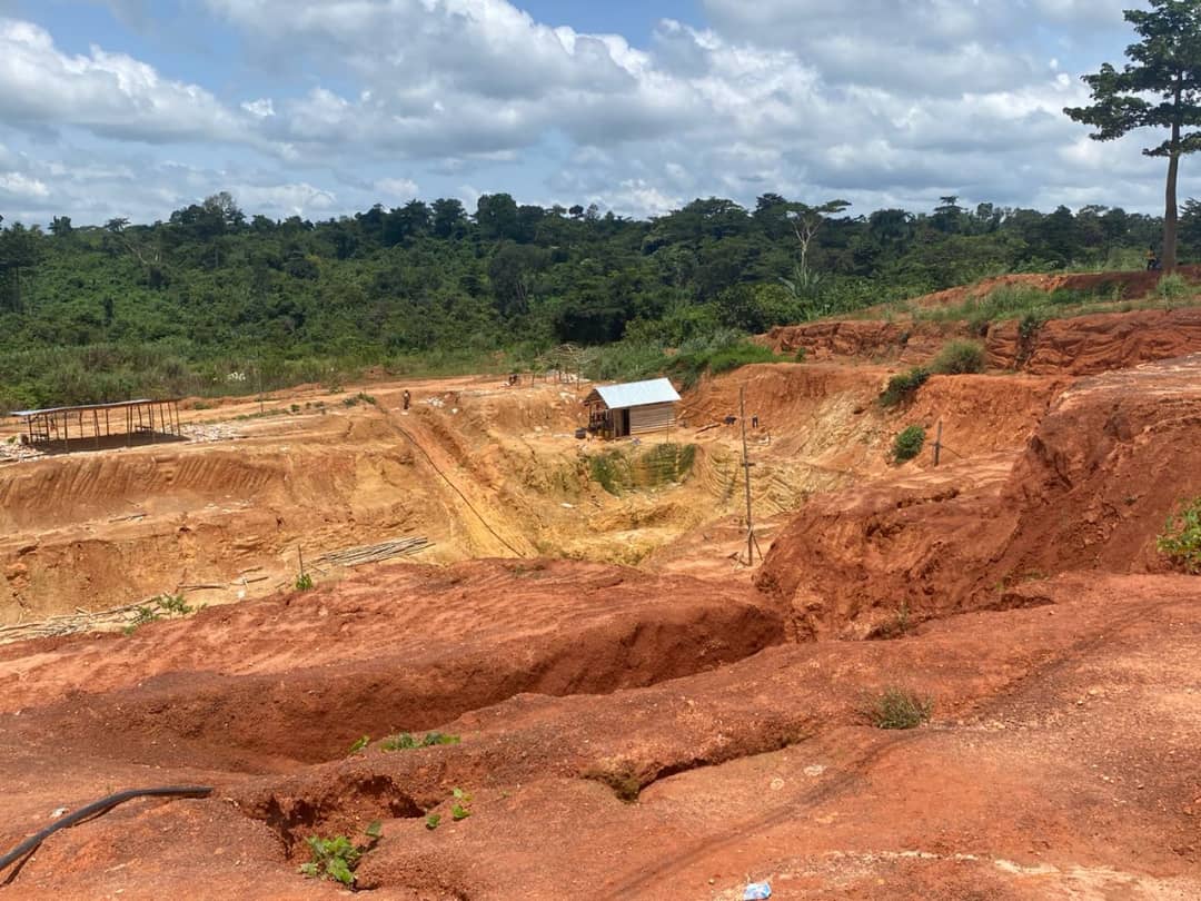 EndEcocideGhana's tweet photo. Desiri Forest Reserve in Mankranso at Numesua, near Tepa in the Ahafo Ano North Municipality is being destroyed through illegal mining activities. Let's all join in the fight against galamsey by supporting the Ecocide Campaign.
#StopEcocide
#StopGalamsey. https://t.co/k1IUeEwshc