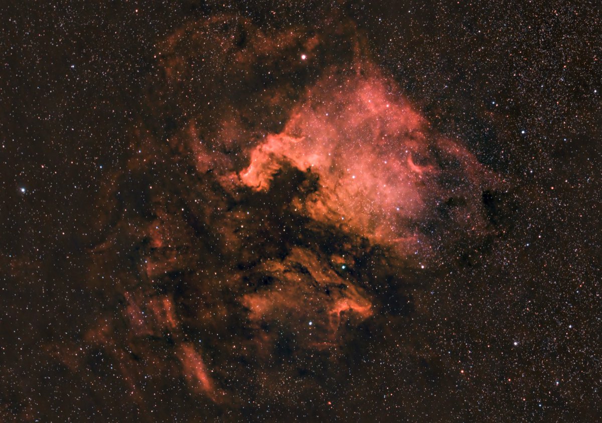 maruo80's tweet photo. سديم أمريكا الشمالية in HαRGB
North America Nebula https://t.co/0KCAZ20VJA