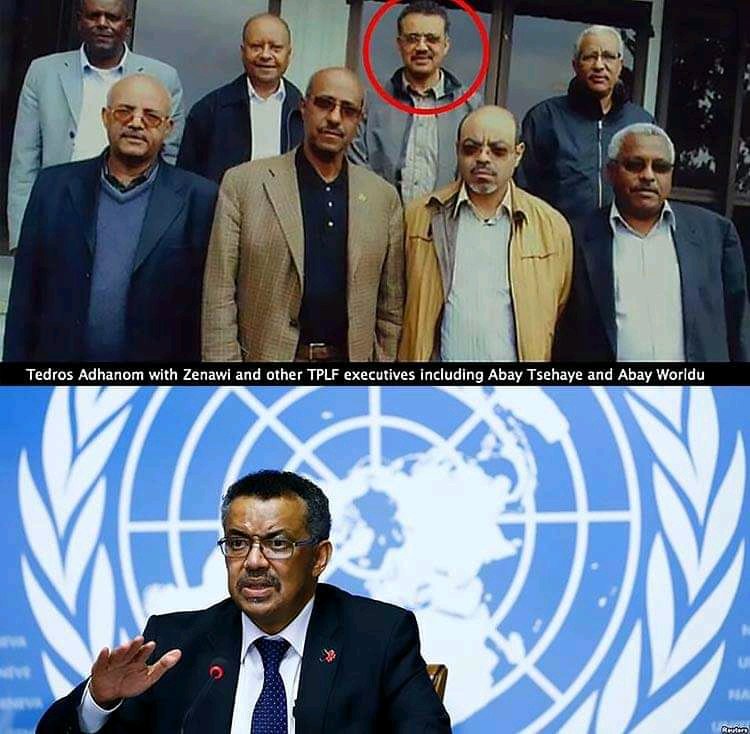 👇
It's incredible that the <a href="/WHO/">World Health Organization (WHO)</a> allowed <a href="/DrTedros/">Tedros Adhanom Ghebreyesus</a> to keep his position in the face of concrete evidence &amp; concerns about his affairs with the TPLF, which is now involved in terrorism in #🇪🇹! This exemplifies the depth of abuse of power &amp; lack of accountability in UN entities!