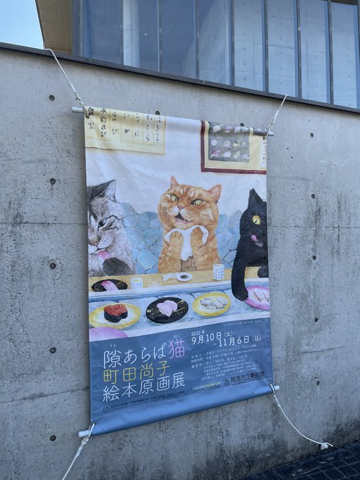 これを見にきた🐱 