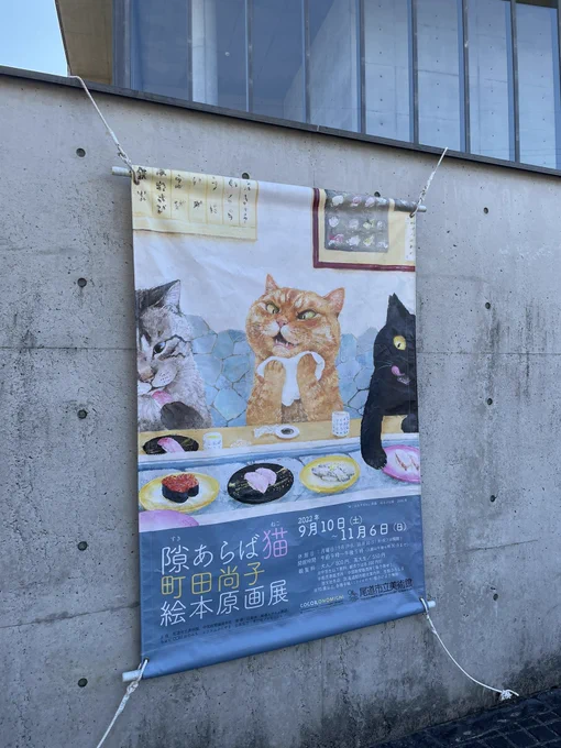 これを見にきた 