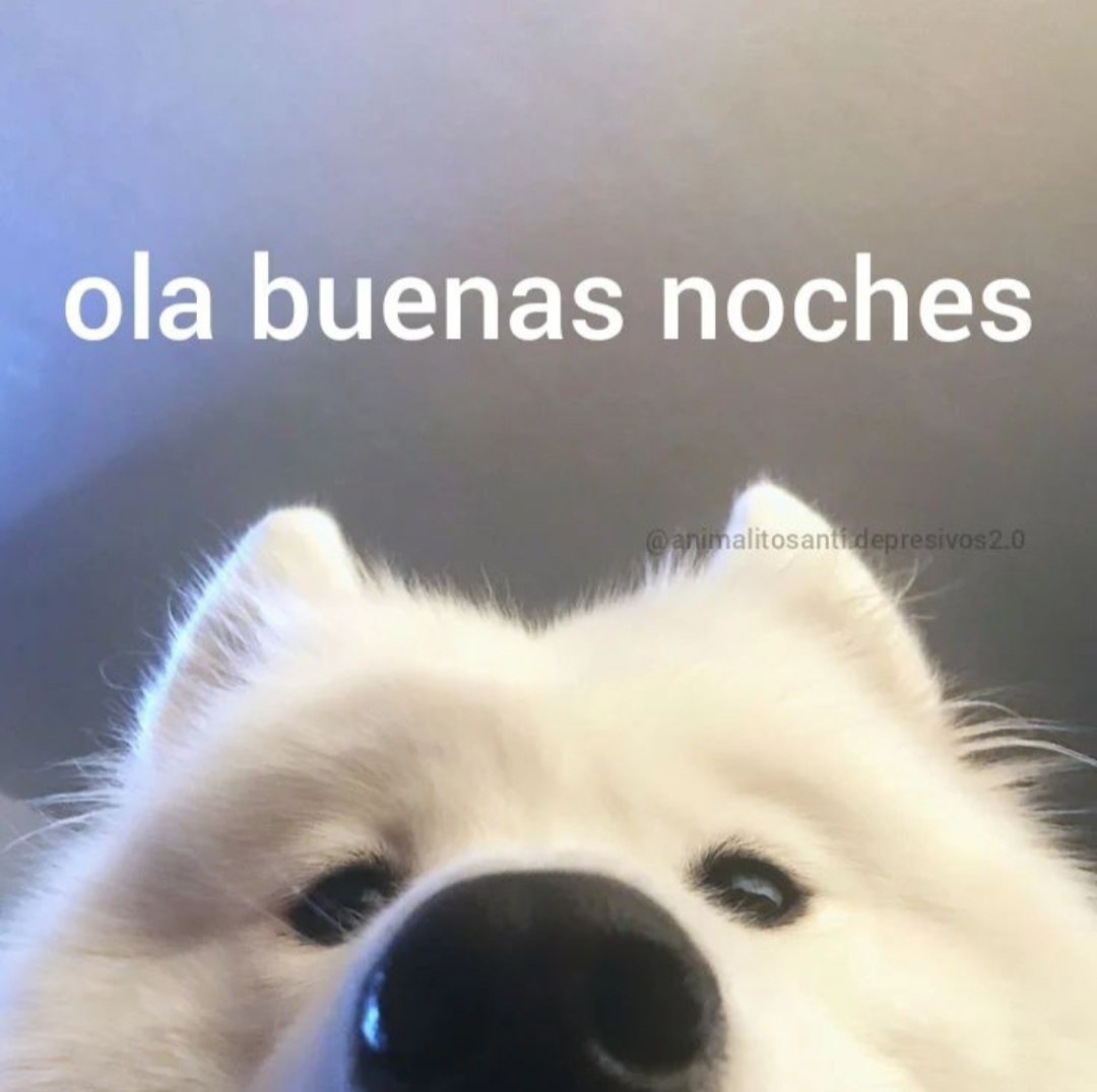 _Scar_Moon_'s tweet photo. Buenas noches ✨✌🏻 https://t.co/Sc5YfDuw0R