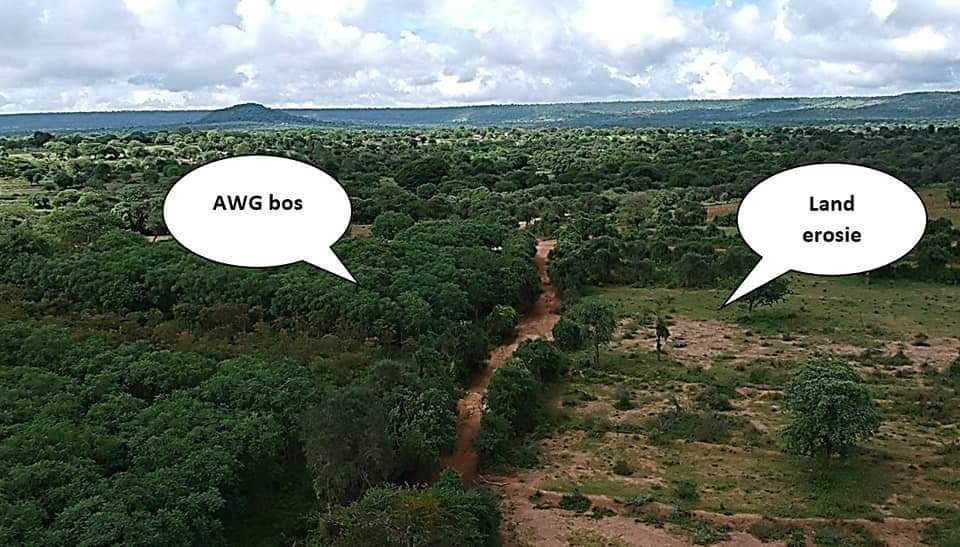 Dankzij jullie hulp maakt <a href="/africawoodgrow/">Africa Wood Grow</a> van een zwaar geerodeerd stuk land weer een levend groen land. 
(Foto 1 dit jaar begonnen foto 2 begonnen in 2010)  
doneeractie.nl/bomen-voor-en-…