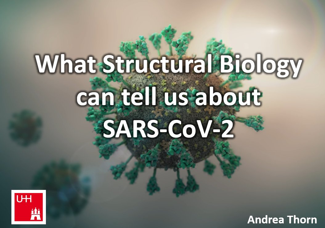 Andrea Thorn tweet media