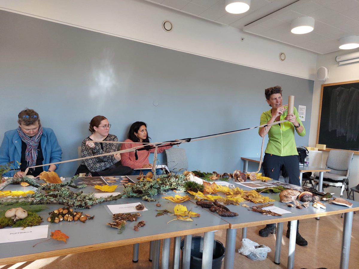 UiO - Anthropogenic Soils tweet media