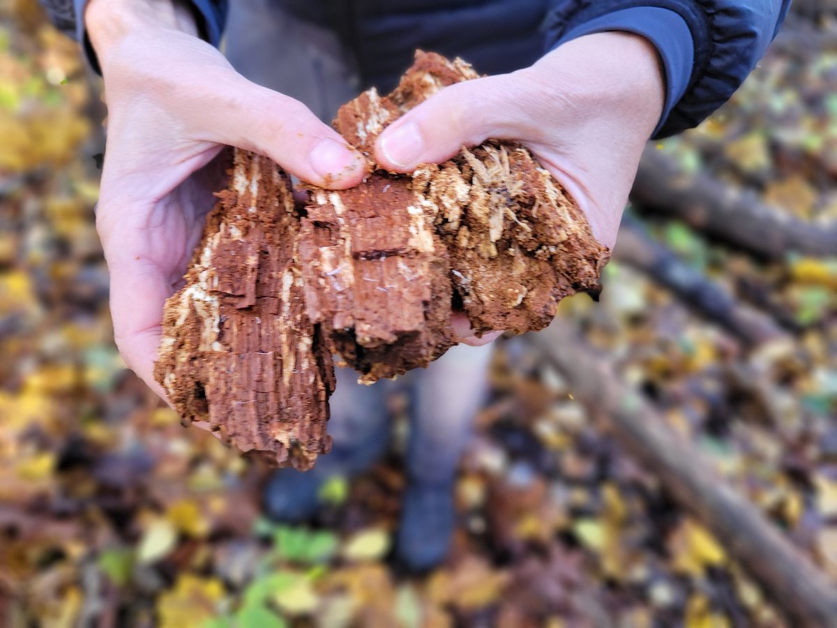 UiO - Anthropogenic Soils tweet media