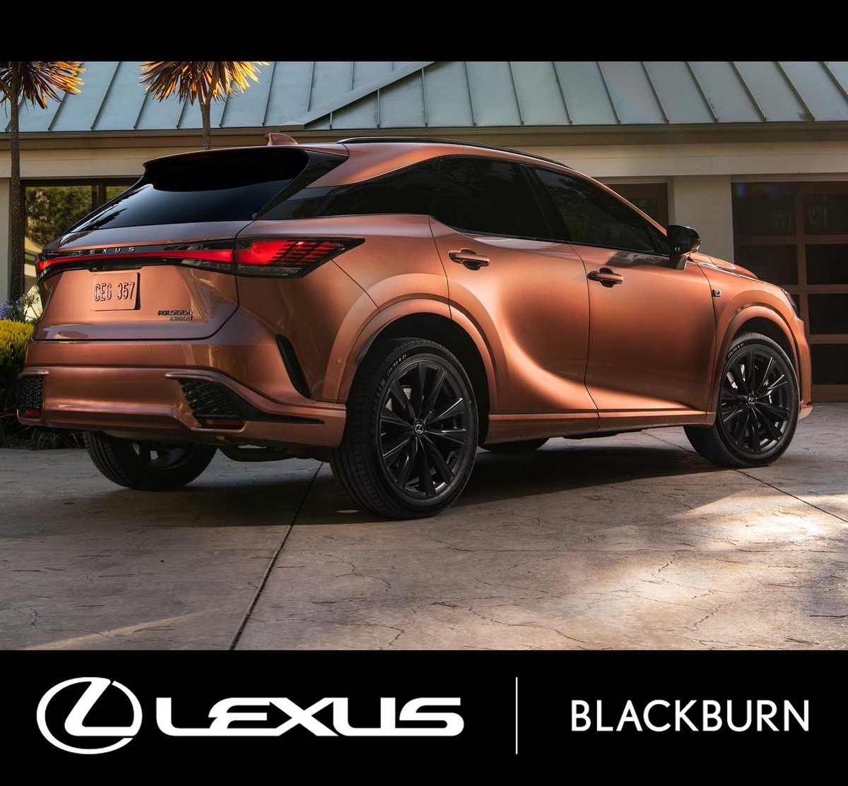Check out our Senior Men’s teams for Rd 2 - proudly presented by <a href="/lexusblackburn/">Lexus of Blackburn</a> 

The all new Lexus RX is due to launch soon… speak to the team <a href="/lexusblackburn/">Lexus of Blackburn</a> to find out how you can get your hands on one!

#goroos