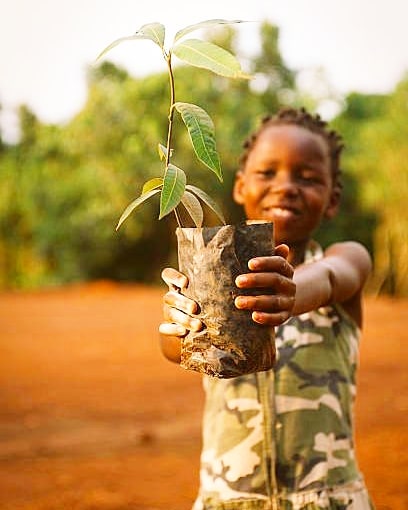 Green Actions Senegal 🌳 tweet media
