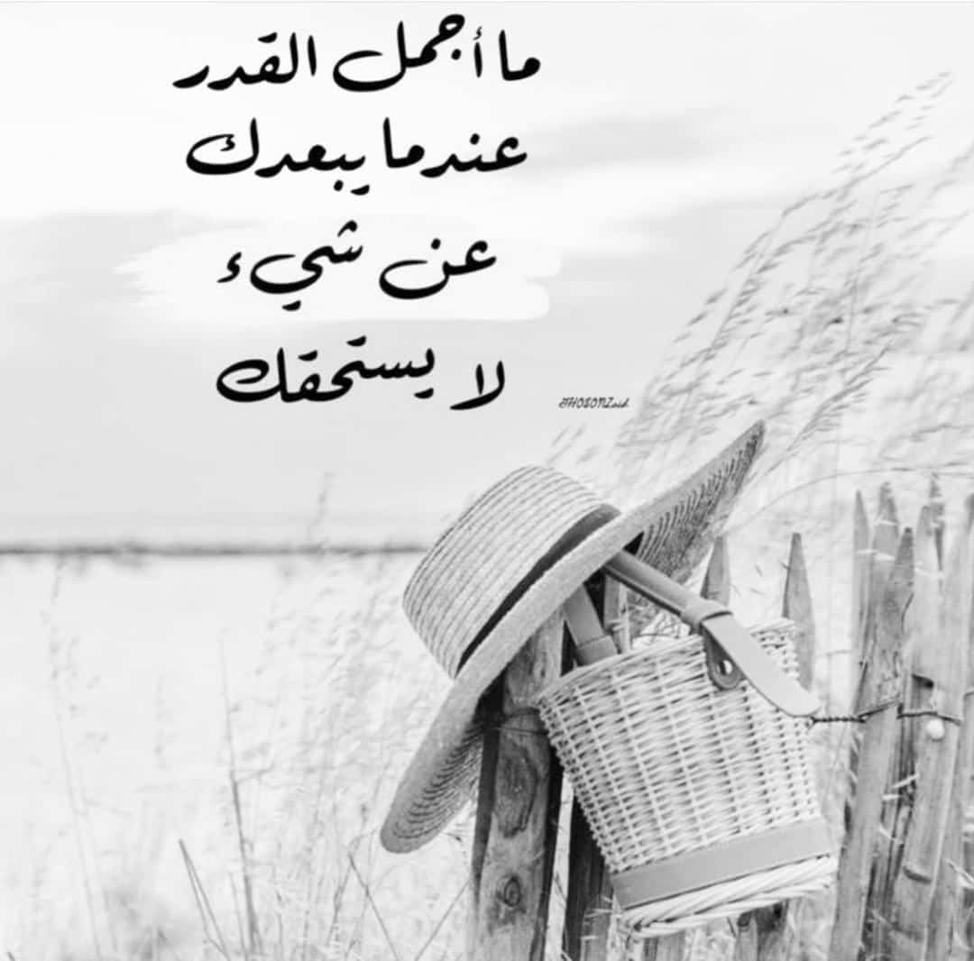 د.خالد بن غنام الفريدي. ابومازن tweet media